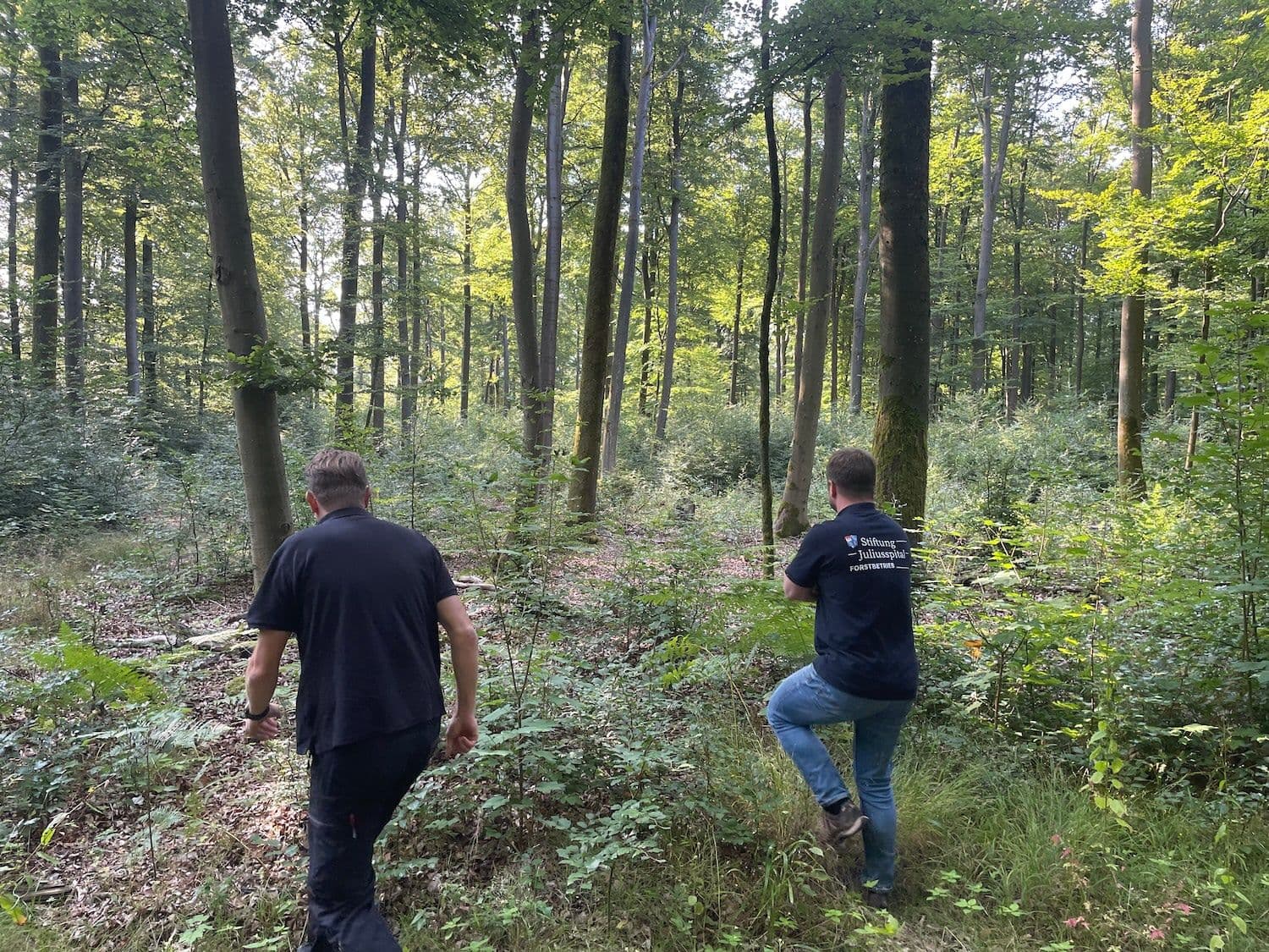 Zwei Personen laufen im Wald