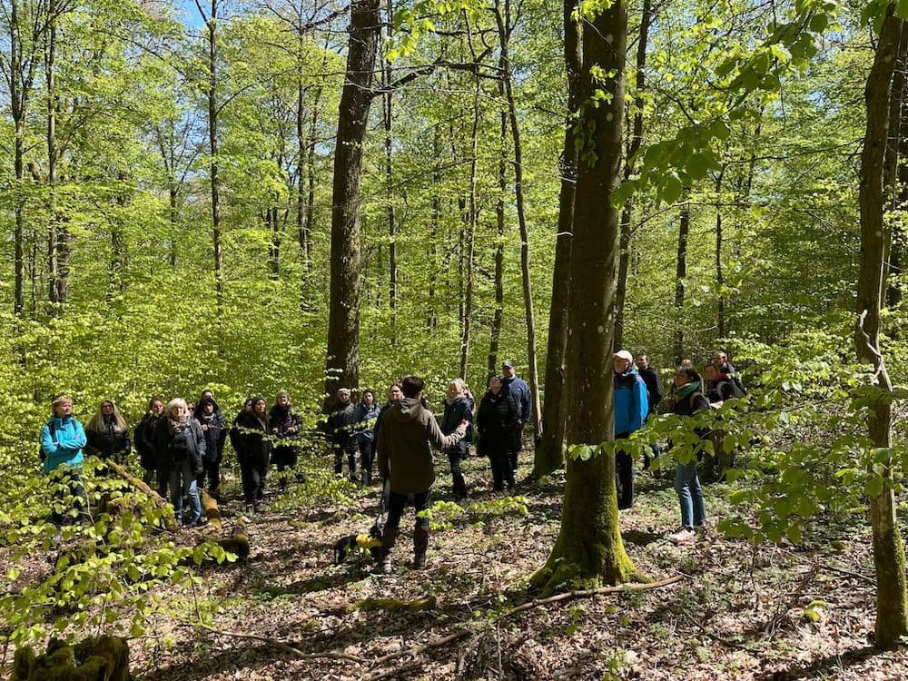 Gruppe von Menschen im Wald