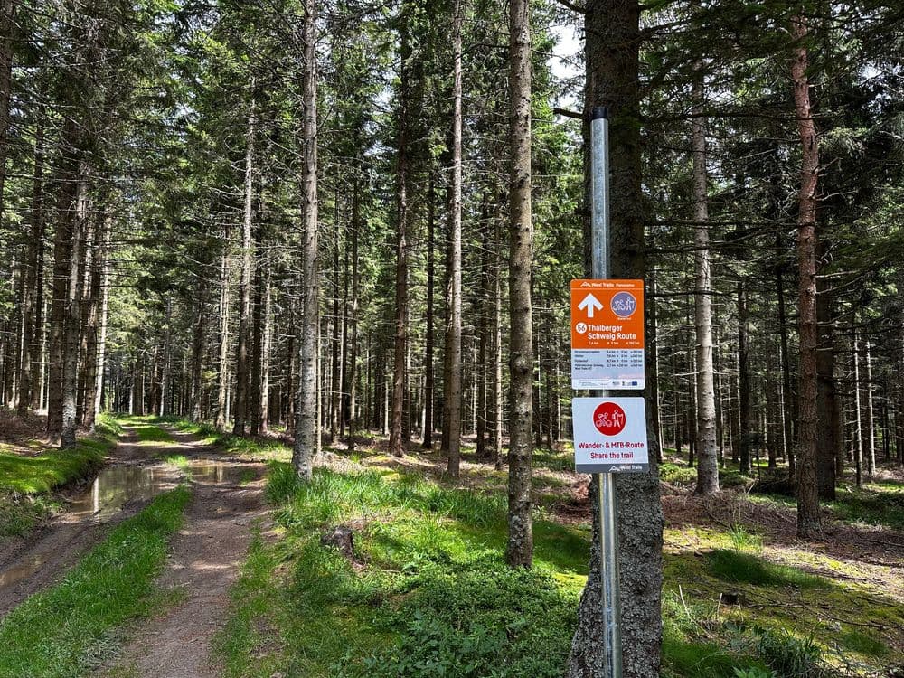 Mountainbike Schild im Wald
