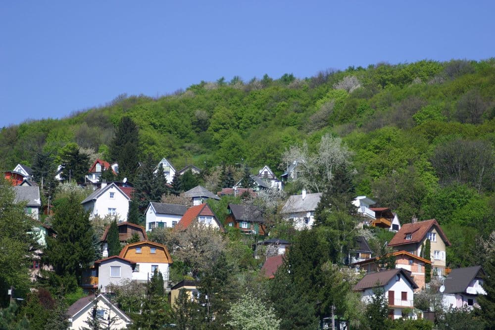 Stadt im Wald