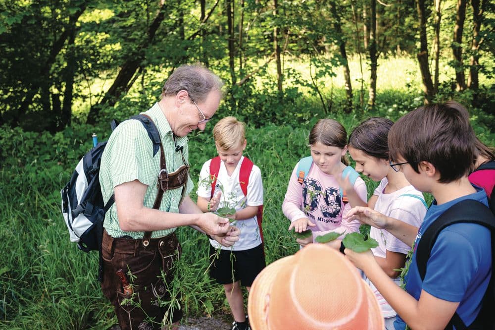 People in the forest