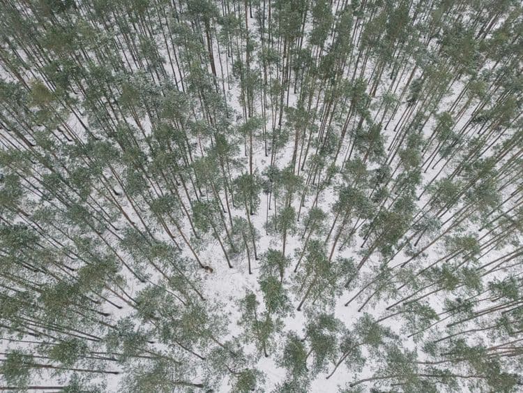 Project Loewenberg aerial view