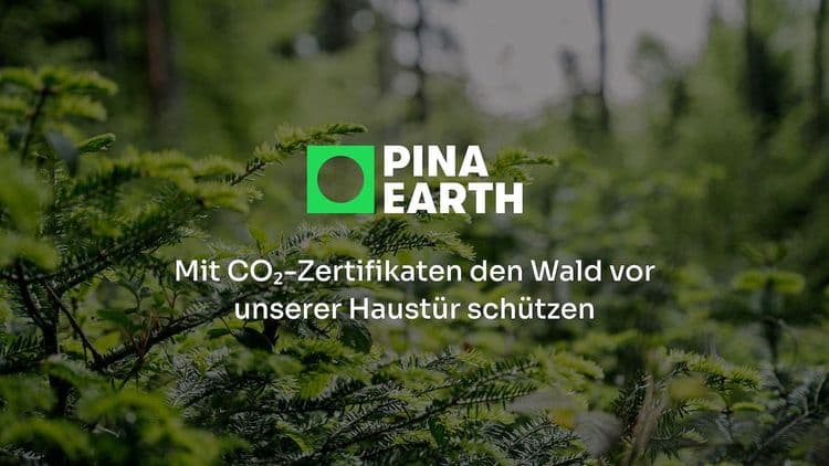 wald